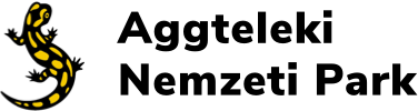 ANPI logo